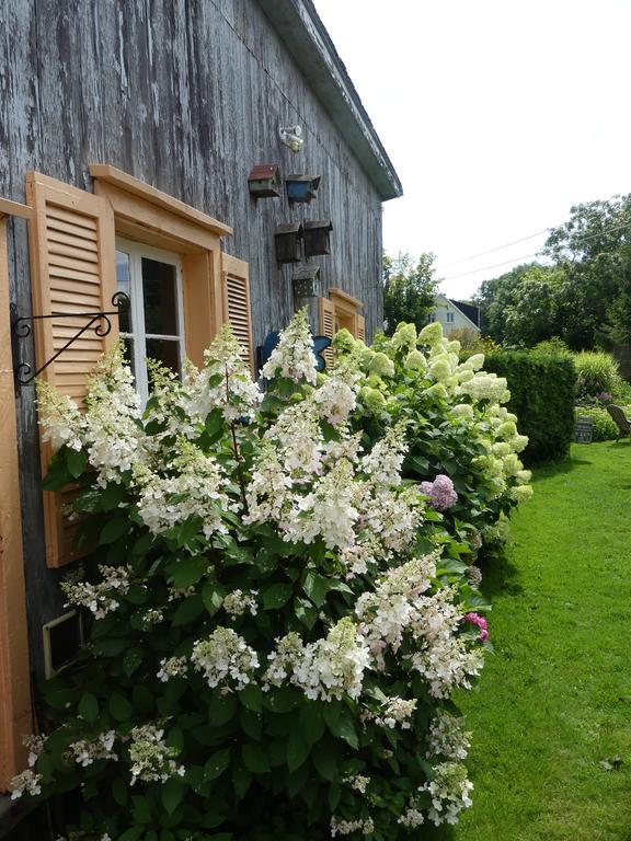 Gite Du Village - Deschambault Exteriör bild